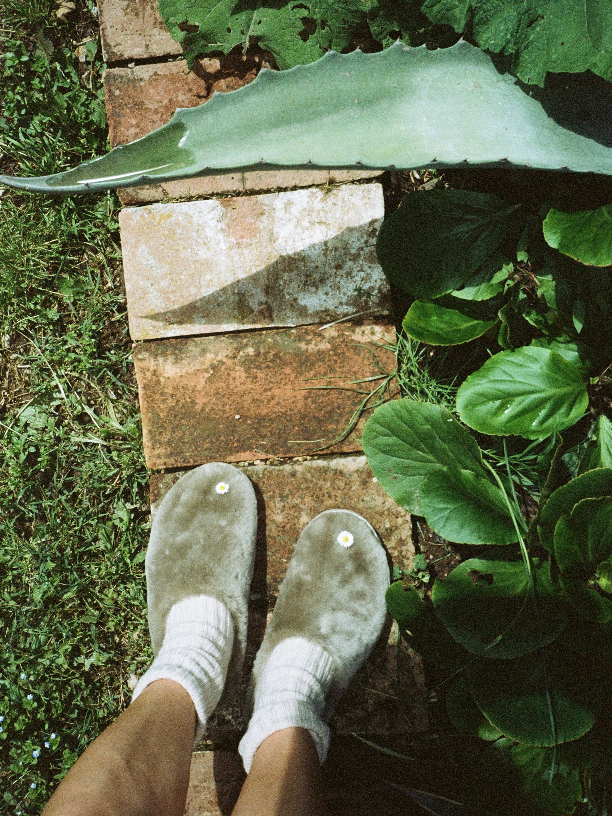 オーラスリッポン