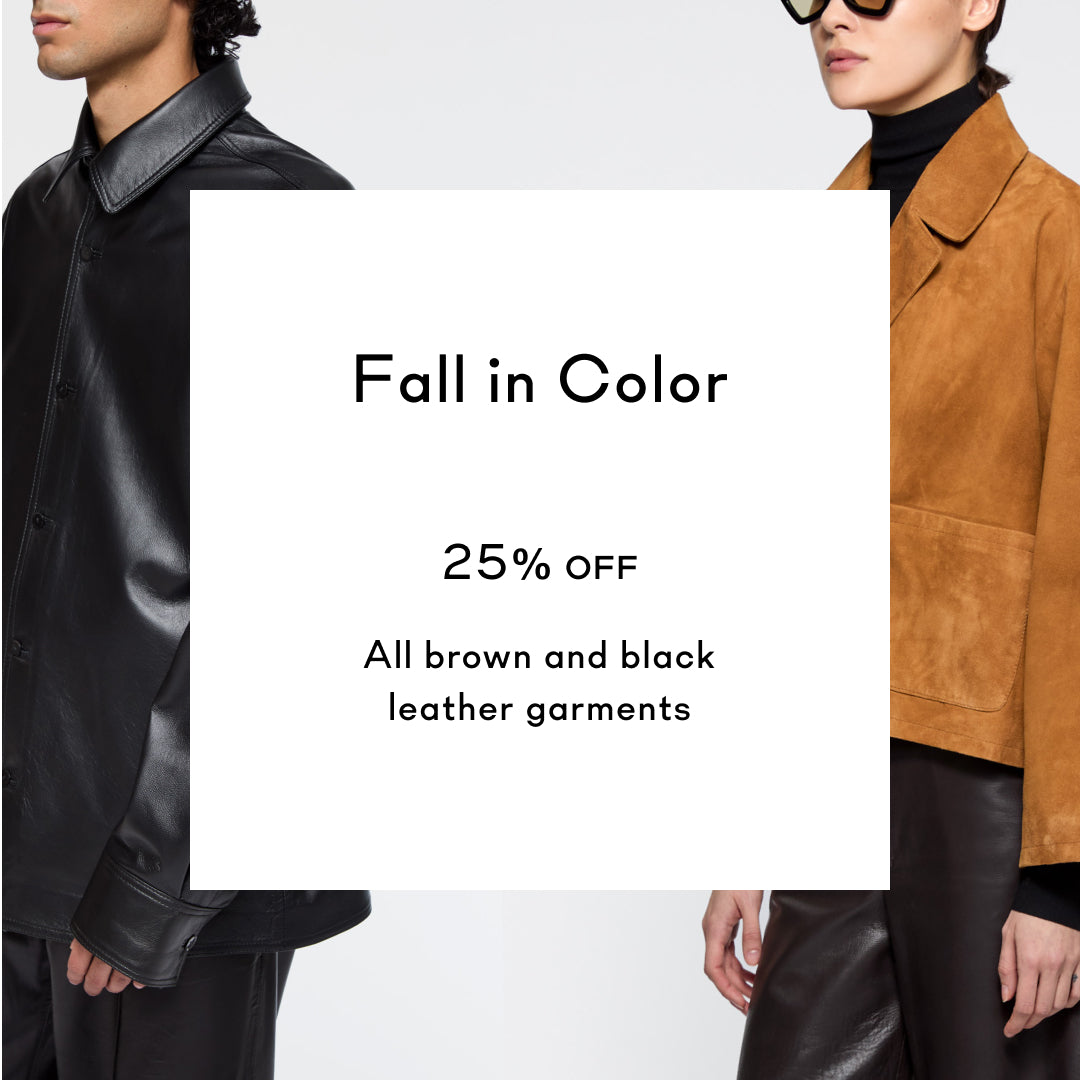 Discover the Fall Palette selection