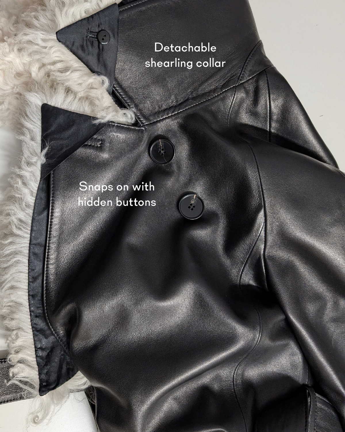 Selen x Marlene with detachable Collar